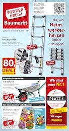 Sonderpreis Baumarkt Prospekt für Nordhausen: "... da, wo Heimwerkerherzen höher schlagen!", 12 Seiten, 31.01.2026 - 06.02.2026