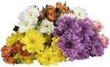Chrysanthementraum Angebote bei REWE Zwickau für 4,99 €