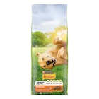 Croquettes pour chiens - PURINA FRISKIES - Carrefour Market à Dunkerque Croquettes pour chiens - PURINA FRISKIES en promo chez Carrefour Market Dunkerque à 18,27 €