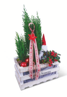 Pflanzenarrangements „Garden Seasons“ bei toom Baumarkt in Erlangen Pflanzenarrangements „Garden Seasons“ im Angebot bei toom Baumarkt Erlangen für 24,99 €
