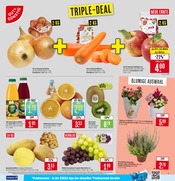 Aktueller Marktkauf Prospekt mit Pflanzen, "Aktuelle Angebote", Seite 5