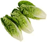 Romana Salatherzen Angebote von REWE Beste Wahl bei REWE Siegen für 1,39 €