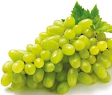 Trauben hell im aktuellen Netto mit dem Scottie Prospekt