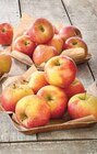 Intermarché - POMME BICOLORE BIO MON MARCHE PLAISIR : offre du catalogue Promo POMME BICOLORE BIO MON MARCHE PLAISIR à 2,19 € dans le catalogue Intermarché ""