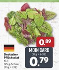 combi Meschede - Deutscher Pflücksalat Angebot im Prospekt Deutscher Pflücksalat bei combi im Meschede Prospekt für 0,79 €