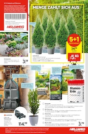 Blumenerde im Hellweg Prospekt in Langenfeld Aktueller Hellweg Prospekt mit Blumenerde, "Ihr Projekt im Herbst!", Seite 19