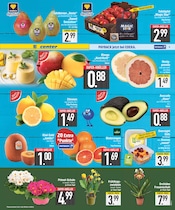 Aktueller E center Prospekt mit Garten, "Wir lieben Lebensmittel.", Seite 3