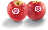 Aktuelle Äpfel Angebote bei Netto Marken-Discount in Rostock Aktuelles Äpfel Angebot bei Netto Marken-Discount in Rostock ab 2,19 €