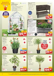 Aktueller Netto Marken-Discount Prospekt mit Grünpflanzen, "netto-online.de - Exklusive Angebote", Seite 6