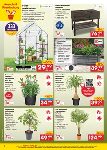 Grünpflanzen im Netto Marken-Discount Prospekt "netto-online.de - Exklusive Angebote" mit 37 Seiten (Mannheim)