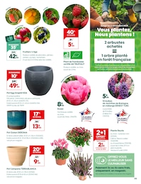 Prix et réduction Rosier dans le prospectus Truffaut en cours Offre Rosier dans le catalogue Truffaut du moment à la page 5