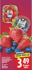 Erdbeeren von SanLucar im aktuellen E center Prospekt