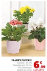 Plante fleurie - Super U à Sarcelles Plante fleurie en promo chez Super U Sarcelles à 6,99 €