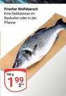 Aktuelle Fisch Angebote bei GLOBUS in Erlangen Aktuelles Frischer Wolfsbarsch Angebot bei GLOBUS in Erlangen ab 1,99 €