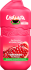 Auchan Hypermarché Nancy - Promo GEL DOUCHE HYDRATANT GRENADE USHUAIA Promo GEL DOUCHE HYDRATANT GRENADE USHUAIA à 2,69 € dans le catalogue Auchan Hypermarché à Nancy