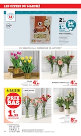 Plante Verte Angebote im Prospekt "Super U" von Super U auf Seite 40