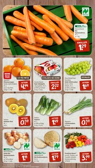 Pflanzen im nahkauf Prospekt "nichts liegt näher" mit 12 Seiten (Chemnitz)