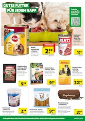 Aktueller hagebau kompakt Prospekt mit Tierfutter, "SUPER DEALS", Seite 8