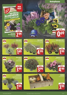 Gartenerde im E center Prospekt "Wir lieben Lebensmittel!" mit 28 Seiten (Erlangen)