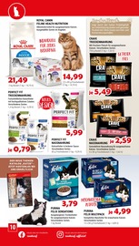 Felix Angebote im Prospekt "Aktuelle Angebote" von Zookauf auf Seite 10