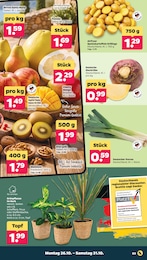 Korb Angebot im aktuellen Netto mit dem Scottie Prospekt auf Seite 3