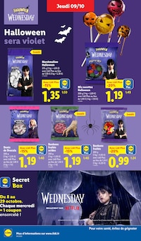Promo Maison dans le catalogue Lidl du moment à la page 24