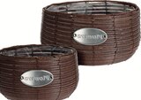 Aktuelle Blumentopf Angebote bei Zimmermann in Bremen Aktuelles Blumentopf Flowers Angebot bei Zimmermann in Bremen ab 2,49 €