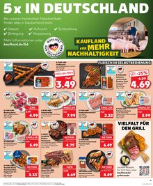 Schweinefilet im Kaufland Prospekt "Aktuelle Angebote" mit 28 Seiten (Bonn)