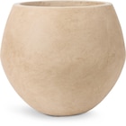 JYSK Blumentopf GERMUND Ø35xH29cm braun im Angebot bei JYSK in Freiburg JYSK Blumentopf GERMUND Ø35xH29cm braun Angebote von JYSK bei JYSK Freiburg für 27,50 €