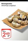 Aktuelles Riesengarnelen Angebot bei GLOBUS in Saarbrücken ab 2,49 €