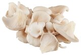 Bio Austernpilze Angebote von REWE Bio bei REWE Passau für 1,99 €