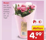 Rosen Angebote bei Netto Marken-Discount Celle für 4,99 €