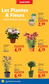 Jardinage Angebote im Prospekt "La Foire aux Vins" von Lidl Jardinage Angebote im Prospekt "La Foire aux Vins" von Lidl auf Seite 30