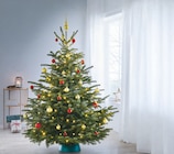 Angebot im toom Baumarkt Horn-Bad Meinberg Prospekt toom Baumarkt Horn-Bad Meinberg Prospekt mit im Angebot für 19,99 €