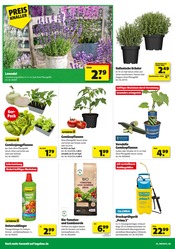 Aktueller Hagebaumarkt Prospekt mit Dünger, "GENIESSE DIE KRAFT DER SONNE", Seite 4