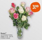 Rosen von  im aktuellen tegut Prospekt für 3,99 €