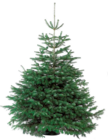 Weihnachtsbaum Nordmann bei OBI im Biedenkopf Prospekt für 13,99 €