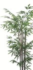Bambou toucher naturel - Bazarland à Montpellier Bambou toucher naturel en promo chez Bazarland Montpellier à 1,49 €