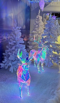 Pflanzen Kölle Hamburg Prospekt der aktuellen Woche, gültig von 11.11.2025 bis 05.12.2025 Aktueller Pflanzen Kölle Hamburg Prospekt "SCHÖNSTER WEIHNACHTSMARKT WEIT UND BREIT" mit 20 Seiten