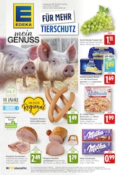 EDEKA Supermarkt Prospekt der aktuellen Woche mit 37 Seiten, gültig von 13.10.2025 bis 18.10.2025, in Mommenheim und Umgebung Aktueller EDEKA Supermarkt Prospekt in Mommenheim und Umgebung, "Aktuelle Angebote" mit 37 Seiten, 13.10.2025 - 18.10.2025