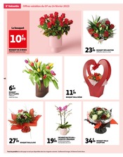Promotion Bricolage et Jardin dans le prospectus Auchan Hypermarché, valable du 07/02/2023 au 13/02/2023 Promo Bricolage et Jardin dans le catalogue Auchan Hypermarché du moment à la page 48