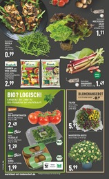 Salat Angebot im aktuellen Marktkauf Prospekt auf Seite 6