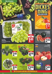 Aktueller EDEKA Prospekt mit Pflanzen, "Wir lieben Lebensmittel!", Seite 8