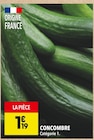 Promo Concombre à 1,19 € dans le catalogue Supeco à Fouquereuil