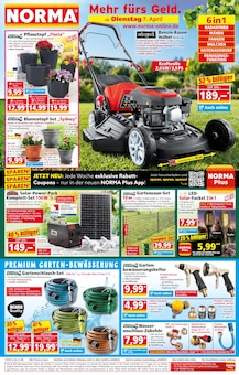 Farbe im Norma Prospekt "Mehr fürs Geld" mit 19 Seiten (Bottrop)