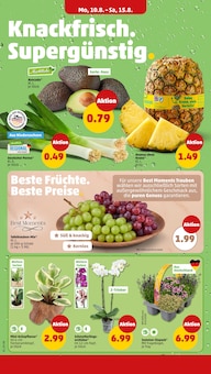Pflanzen im aktuellen Penny Prospekt (Bremen) Pflanzen im Penny Prospekt "Wer günstig will, muss Penny." mit 32 Seiten (Bremen)