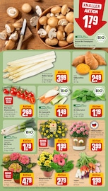 Blumen im REWE Prospekt in Leipzig Aktueller REWE Prospekt mit Blumen, "Dein Markt", Seite 7