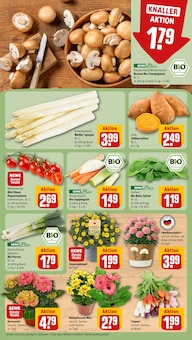 Champignons im REWE Prospekt "Dein Markt" mit 16 Seiten (Leipzig)