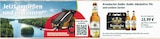 Radler, Radler Alkoholfrei, Pils im Angebot bei Profi Getränke in Maintal Radler, Radler Alkoholfrei, Pils Angebote von Krombacher bei Profi Getränke Maintal für 15,99 €