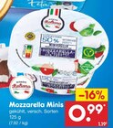 Mozzarella Minis im Angebot bei Netto Marken-Discount in Gera Mozzarella Minis Angebote von Mondo Italiano bei Netto Marken-Discount Gera für 0,99 €